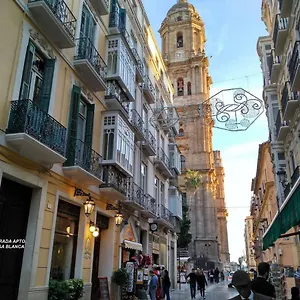  Appartamento Luxury Catedral